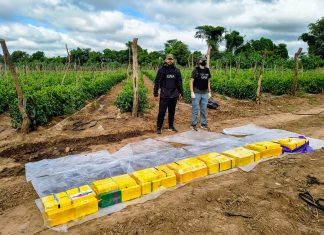 ORÁN: IMPUTAN A LOS LÍDERES Y UN INTEGRANTE DE UNA ORGANIZACIÓN NARCOCRIMINAL QUE ARRENDABA FINCAS AGRÍCOLAS PARA ACOPIAR COCAÍNA