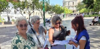 MILES DE PERSONAS ELIGIERON LA CIUDAD DE SALTA PARA VIVIR SEMANA SANTA