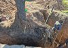 GRAVE: LA MUNICIPALIDAD MULTÓ A NATURGY POR LA DESTRUCCIÓN DE ÁRBOLES NATIVOS EN AVENIDA PERÓN