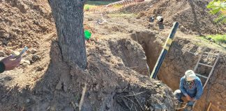GRAVE: LA MUNICIPALIDAD MULTÓ A NATURGY POR LA DESTRUCCIÓN DE ÁRBOLES NATIVOS EN AVENIDA PERÓN