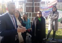 “SOSTENER, COMO LO HIZO DARÍO MADILE, QUE ESTOS HECHOS NO CONSTITUYEN VIOLENCIA INSTITUCIONAL IMPLICA DESCONOCER LO QUE EFECTIVAMENTE OCURRIÓ”