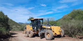 VIALIDAD REALIZA TAREAS PARA OPTIMIZAR EL ESTADO DE LA RUTA PROVINCIAL 6