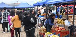 “EL MERCADO EN TU BARRIO” VUELVE AL PREDIO DE LA UNSA