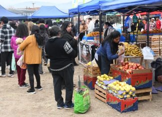 “EL MERCADO EN TU BARRIO” VUELVE AL PREDIO DE LA UNSA