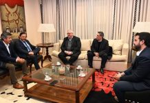 SÁENZ CON DIRECTIVOS DE ABRASILVER: EL PROYECTO DIABLILLOS DE ORO Y PLATA POR USD 760 MILLONES SE INCLUYÓ EN EL RIGI