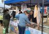 LA MUNICIPALIDAD LANZA LA 1ERA EDICIÓN DE LA “FERIA DE LA CARNE”