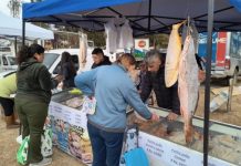 LA MUNICIPALIDAD LANZA LA 1ERA EDICIÓN DE LA “FERIA DE LA CARNE”