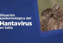SALUD PÚBLICA CONFIRMA UN CASO POSITIVO DE HANTAVIRUS