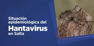 SALUD PÚBLICA CONFIRMA UN CASO POSITIVO DE HANTAVIRUS