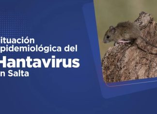 SALUD PÚBLICA CONFIRMA UN CASO POSITIVO DE HANTAVIRUS