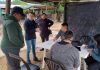 EL ENTE REALIZARÁ OPERATIVOS TERRITORIALES EN GENERAL BALLIVIÁN Y TARTAGAL