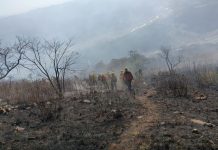 ALERTA POR VIENTOS E INCENDIOS FORESTALES EN LA CIUDAD DURANTE LOS PRÓXIMOS DÍAS