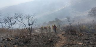 ALERTA POR VIENTOS E INCENDIOS FORESTALES EN LA CIUDAD DURANTE LOS PRÓXIMOS DÍAS