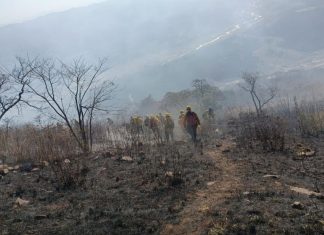 ALERTA POR VIENTOS E INCENDIOS FORESTALES EN LA CIUDAD DURANTE LOS PRÓXIMOS DÍAS
