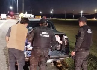 DIEZ DEMORADOS EN UN OPERATIVO ANTIDROGAS QUE INCLUYÓ A METÁN