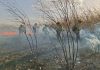 PERSONAL DE PROTECCIÓN CIUDADANA INTERVINO PARA SOFOCAR UN INCENDIO EN ZONA SUR