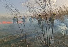 PERSONAL DE PROTECCIÓN CIUDADANA INTERVINO PARA SOFOCAR UN INCENDIO EN ZONA SUR
