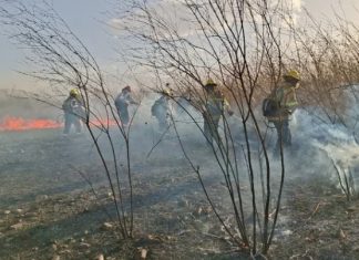 PERSONAL DE PROTECCIÓN CIUDADANA INTERVINO PARA SOFOCAR UN INCENDIO EN ZONA SUR