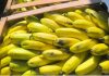 CRISIS EN EL SECTOR BANANERO