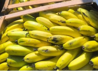 CRISIS EN EL SECTOR BANANERO