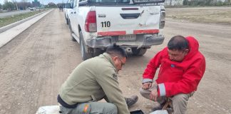 VIALIDAD NACIONAL SALTA CONSOLIDA LA PRECISIÓN Y SEGURIDAD DE SU LABORATORIO DE ENSAYOS