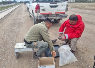 VIALIDAD NACIONAL SALTA CONSOLIDA LA PRECISIÓN Y SEGURIDAD DE SU LABORATORIO DE ENSAYOS