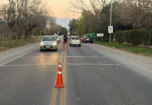 NO APRENDEN MÁS: 74 BORRACHOS AL VOLANTE ES EL SALDO DEL ÚLTIMO FIN DE SEMANA