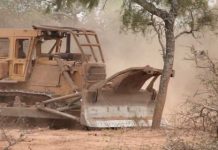 DESMONTES ILEGALES EN TARTAGAL: EL MINISTERIO PÚBLICO FISCAL RATIFICA SU COMPROMISO CON LA RECOMPOSICIÓN DEL DAÑO AMBIENTAL