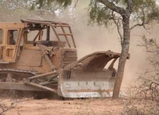 DESMONTES ILEGALES EN TARTAGAL: EL MINISTERIO PÚBLICO FISCAL RATIFICA SU COMPROMISO CON LA RECOMPOSICIÓN DEL DAÑO AMBIENTAL