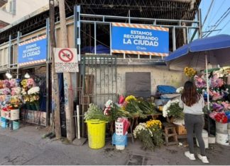 LA ESQUINA DE LAS FLORES LUCIRÁ TOTALMENTE RENOVADA