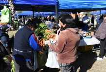 FAMILIAS DE LA ZONA SUR APROVECHARON LAS PROMOCIONES DE “EL MERCADO EN TU BARRIO”