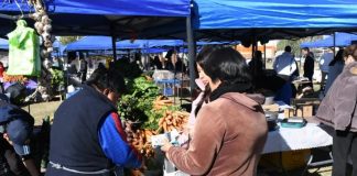 FAMILIAS DE LA ZONA SUR APROVECHARON LAS PROMOCIONES DE “EL MERCADO EN TU BARRIO”