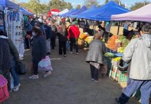 “EL MERCADO EN TU BARRIO” LLEGA A LA ZONA SUR CON PRECIOS PROMOCIONALES Y SERVICIOS