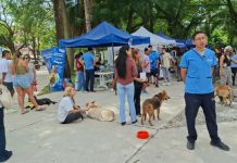 “LA MUNI ANIMAL” LLEGA A TRES CERRITOS CON SERVICIOS GRATUITOS