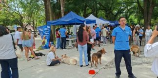 “LA MUNI ANIMAL” LLEGA A TRES CERRITOS CON SERVICIOS GRATUITOS