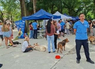 “LA MUNI ANIMAL” LLEGA A TRES CERRITOS CON SERVICIOS GRATUITOS