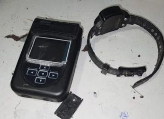 UN VIOLENTO SUJETO SE HARTÓ DE LA “DOMICILIARIA”, ROMPIÓ LA TOBILLERA, HUYÓ Y LO PESCARON