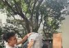 UN ARTISTA SALTEÑO CONQUISTA UNO DE LOS ESCENARIOS DE DISEÑO MÁS IMPORTANTES DEL PAÍS