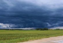 SALTA QUEDÓ AFUERA DEL PLAN NACIONAL DE ASISTENCIA POR EL NIÑO Y EL CONCEJO PIDE EXPLICACIONES