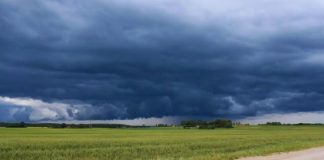 SALTA QUEDÓ AFUERA DEL PLAN NACIONAL DE ASISTENCIA POR EL NIÑO Y EL CONCEJO PIDE EXPLICACIONES