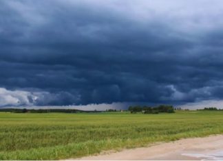 SALTA QUEDÓ AFUERA DEL PLAN NACIONAL DE ASISTENCIA POR EL NIÑO Y EL CONCEJO PIDE EXPLICACIONES
