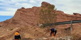 REFUERZO DE TAREAS PREVENTIVAS EN LAS RUTAS NACIONALES 68 Y 51 ANTE LA LLEGADA DEL FENÓMENO EL NIÑO
