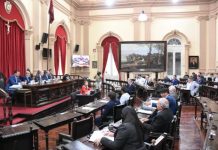 EL SENADO APROBÓ LA PRÓRROGA EN LA EMERGENCIA POR VIOLENCIA DE GÉNERO