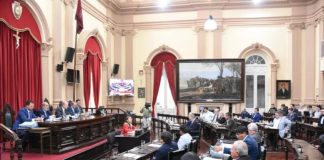 EL SENADO APROBÓ LA PRÓRROGA EN LA EMERGENCIA POR VIOLENCIA DE GÉNERO