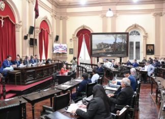 EL SENADO APROBÓ LA PRÓRROGA EN LA EMERGENCIA POR VIOLENCIA DE GÉNERO