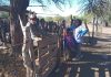 DIEZ ZONAS RURALES DE EL GALPÓN RECIBIERON CONTROLES Y VACUNACIÓN