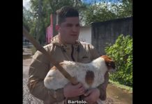 INUNDACIONES EN CHACO: PERIODISTA HÉROE SALVA A UN PERRITO