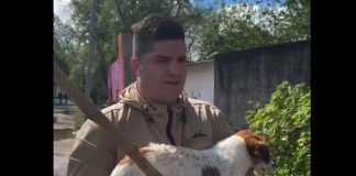 INUNDACIONES EN CHACO: PERIODISTA HÉROE SALVA A UN PERRITO