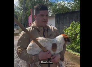 INUNDACIONES EN CHACO: PERIODISTA HÉROE SALVA A UN PERRITO