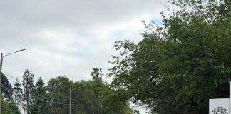 DETECTARON 94 BORRACHOS DURANTE EL FIN SE SEMANA LARGO